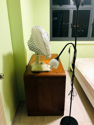 Blk 698C Jurong West Blossom (Jurong West), HDB 3 Rooms #564086671